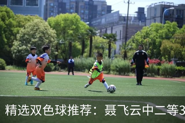 精选双色球推荐：聂飞云中二等386万 10人中5+1